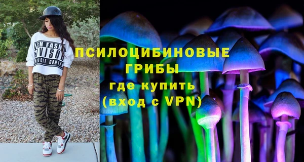 гашик Абдулино