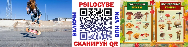 Псилоцибиновые грибы мухоморы  Партизанск 